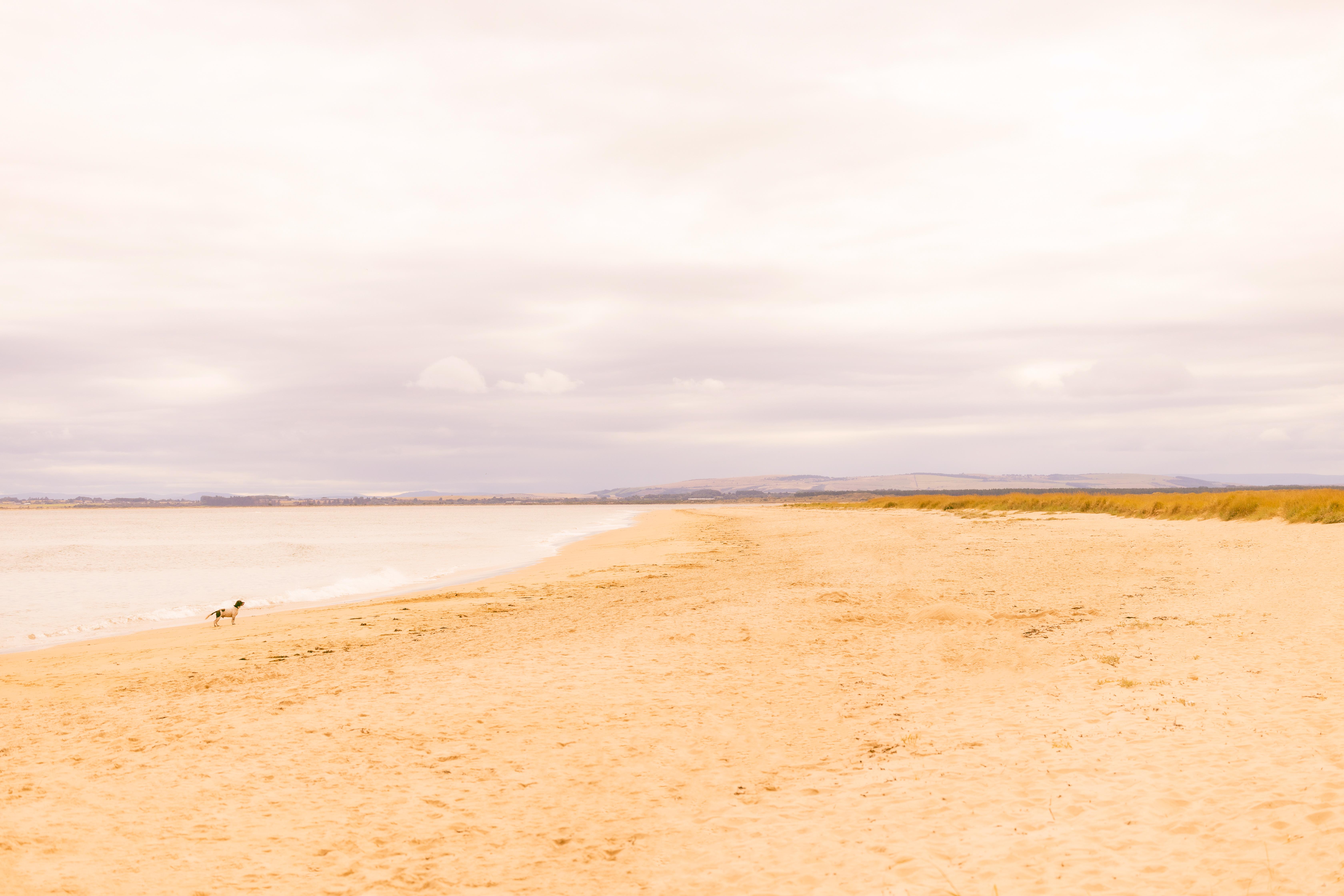 Hotel Dornoch Station Exterior foto The beach at West Bay
