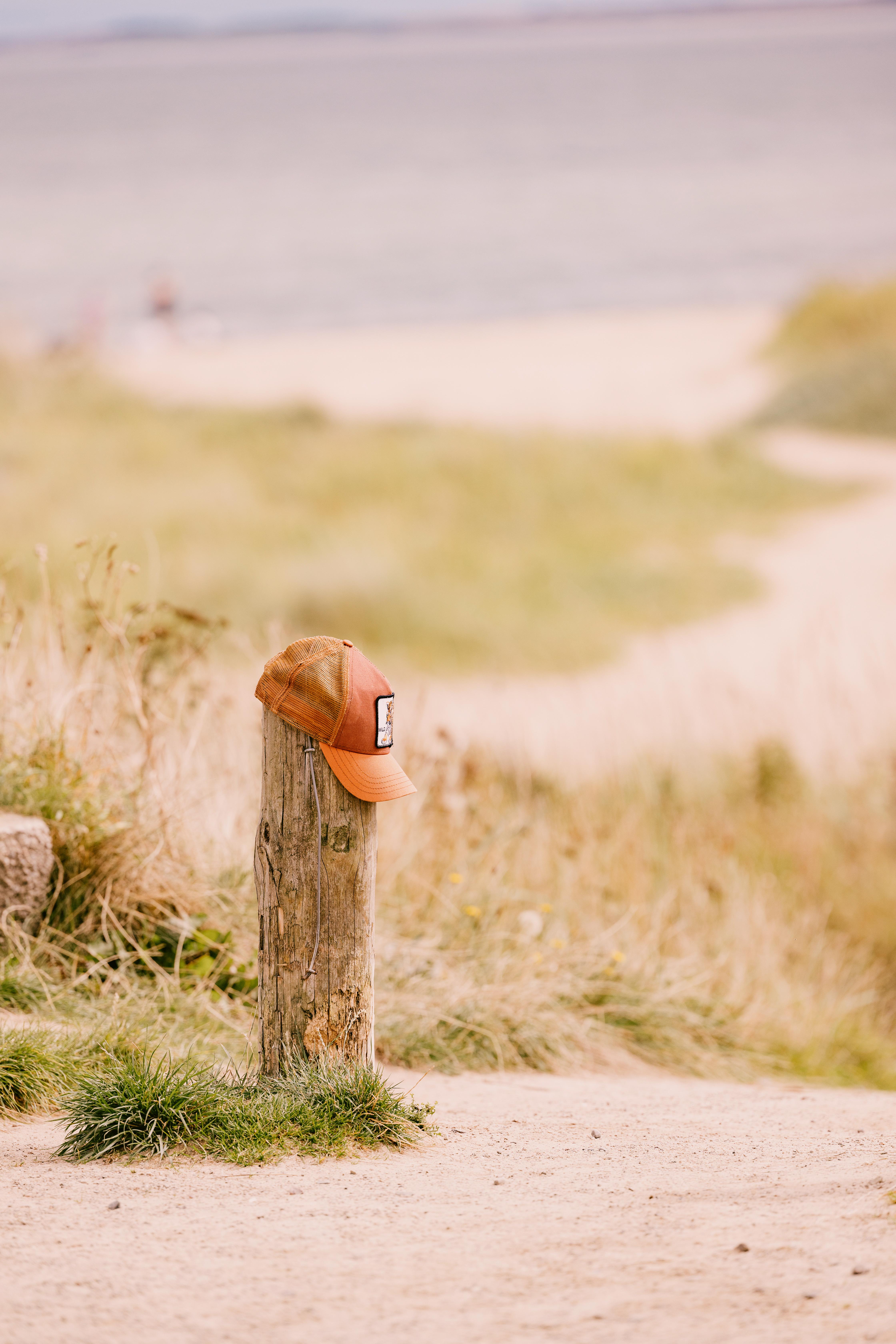 Hotel Dornoch Station Exterior foto A hat on a fence post